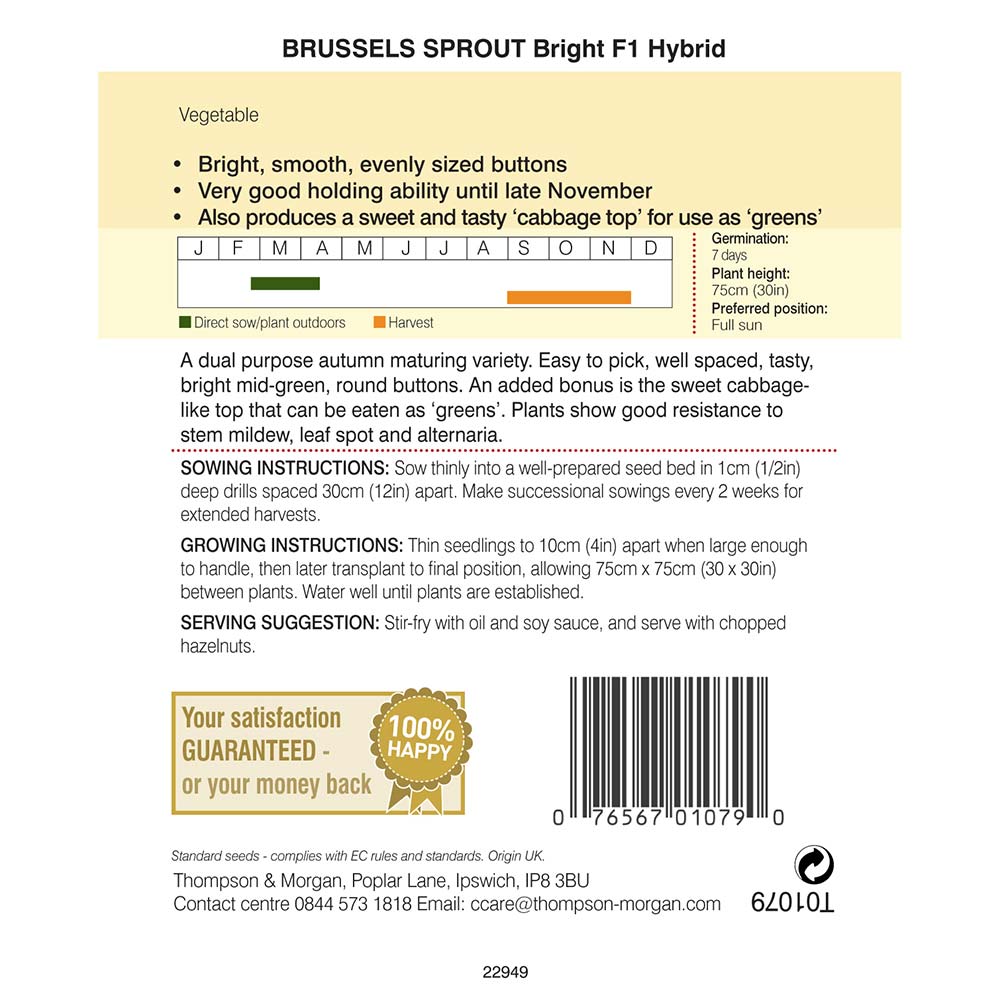 THOMPSON & MORGAN - BRUSSELS SPROUT BRIGHT F1 HYBRID SEEDS - Image 2