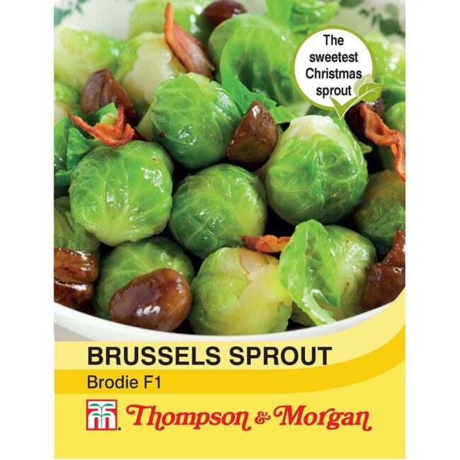 THOMPSON & MORGAN - BRUSSELS SPROUT BRODIE F1 HYBRID SEEDS