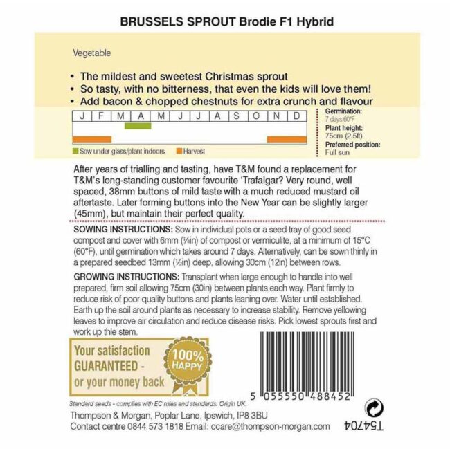 THOMPSON & MORGAN - BRUSSELS SPROUT BRODIE F1 HYBRID SEEDS - Image 2