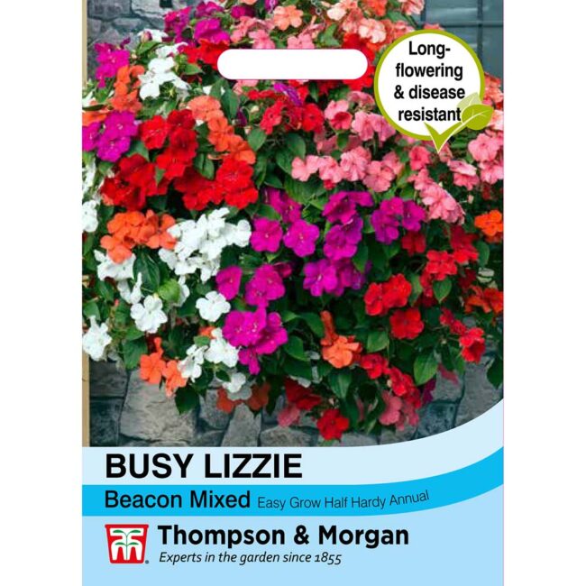 THOMPSON & MORGAN - BUSY LIZZIE BEACON MIXED SEEDS