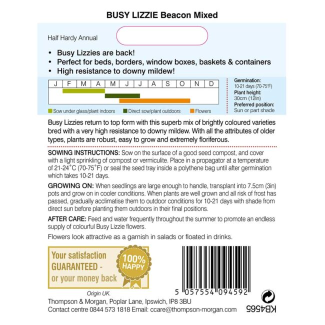 THOMPSON & MORGAN - BUSY LIZZIE BEACON MIXED SEEDS - Image 2