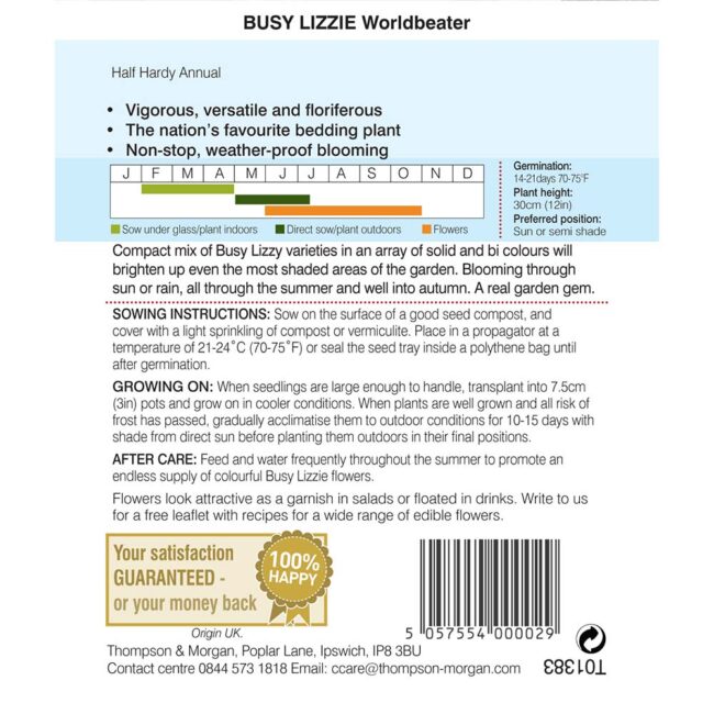 THOMPSON & MORGAN - BUSY LIZZIE WORLDBEATER SEEDS - Image 2