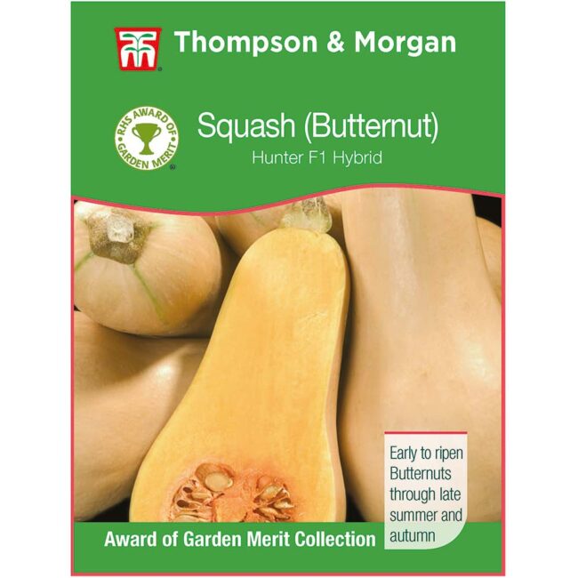 THOMPSON & MORGAN - BUTTERNUT SQUASH HUNTER
