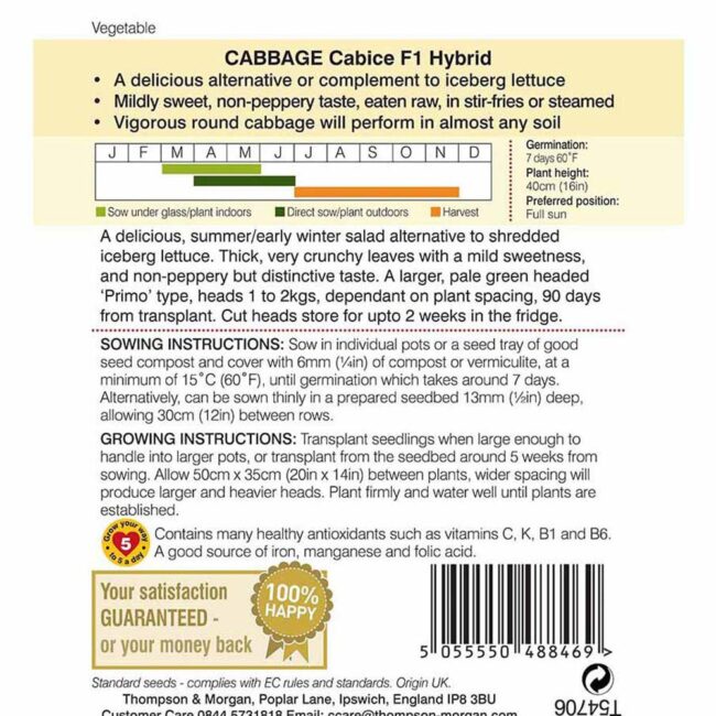 THOMPSON & MORGAN - CABBAGE CABBICE F1 HYBRID SEEDS - Image 2