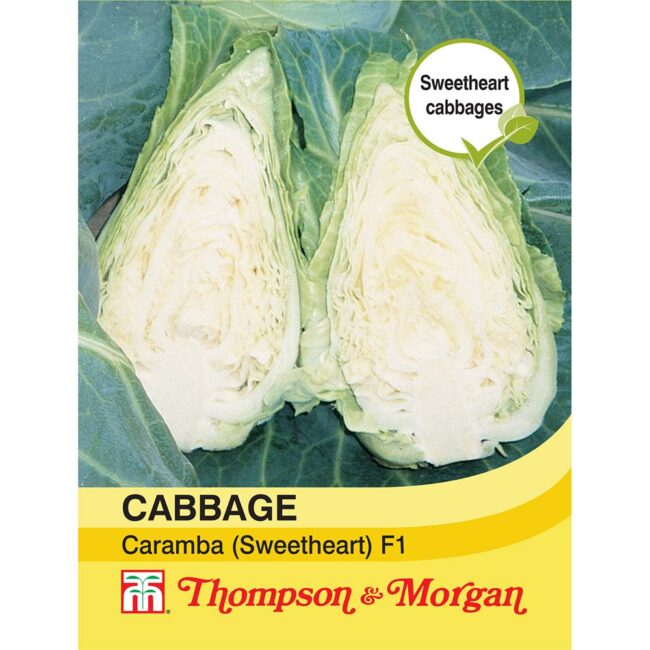 THOMPSON & MORGAN - CABBAGE CARAMBA F1 HYBRID SWEETHEART SEEDS