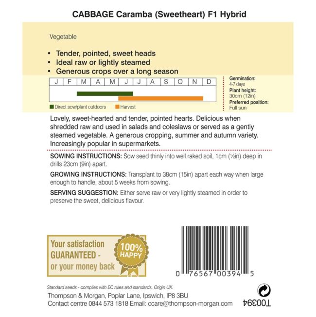 THOMPSON & MORGAN - CABBAGE CARAMBA F1 HYBRID SWEETHEART SEEDS - Image 2