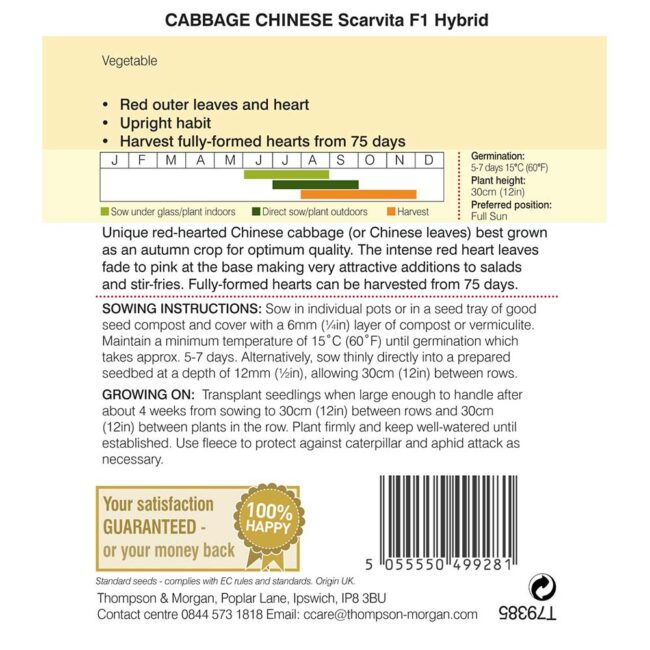 THOMPSON & MORGAN - CABBAGE CHINESE SCARVITA F1 HYBRID SEEDS - Image 2