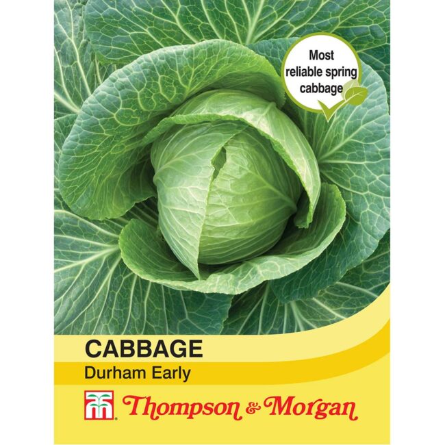 THOMPSON & MORGAN - CABBAGE DURHAM EARLY SEEDS