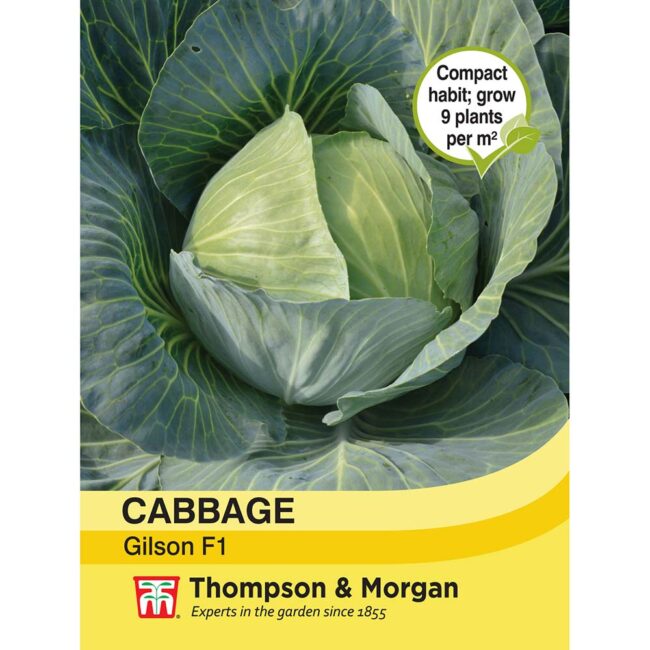 THOMPSON & MORGAN - CABBAGE GILSON SEEDS