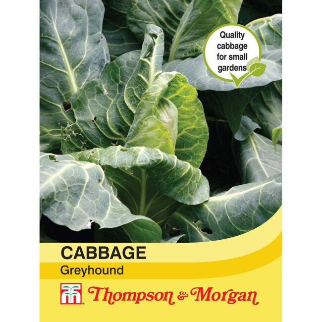 THOMPSON & MORGAN - CABBAGE GREYHOUND SEEDS