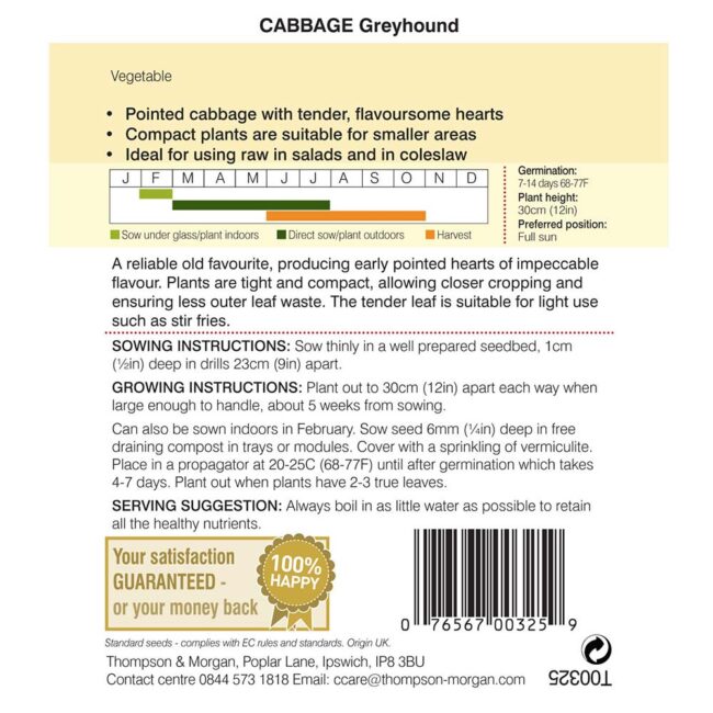 THOMPSON & MORGAN - CABBAGE GREYHOUND SEEDS - Image 2