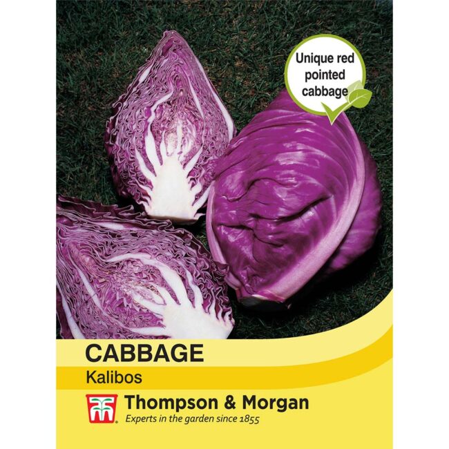 THOMPSON & MORGAN - CABBAGE KALIBOS (FILDERKRAUT) F1 HYBRID SEEDS