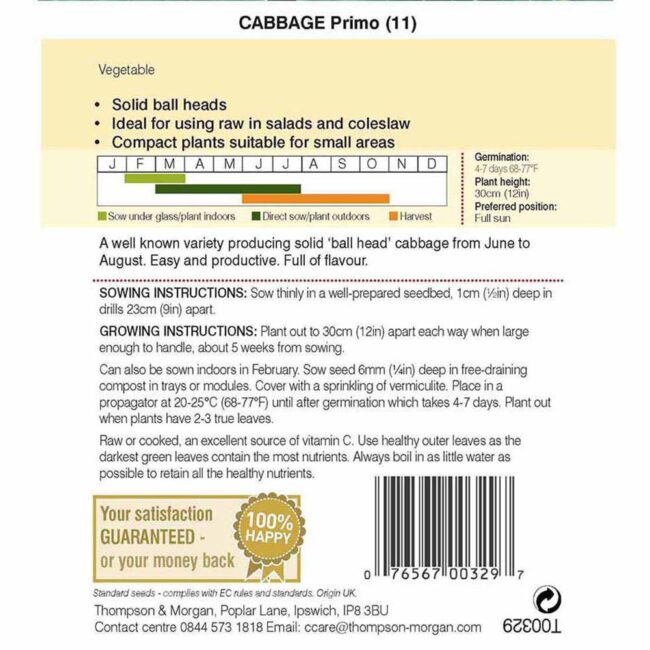 THOMPSON & MORGAN - CABBAGE PRIMO (11) SEEDS - Image 2