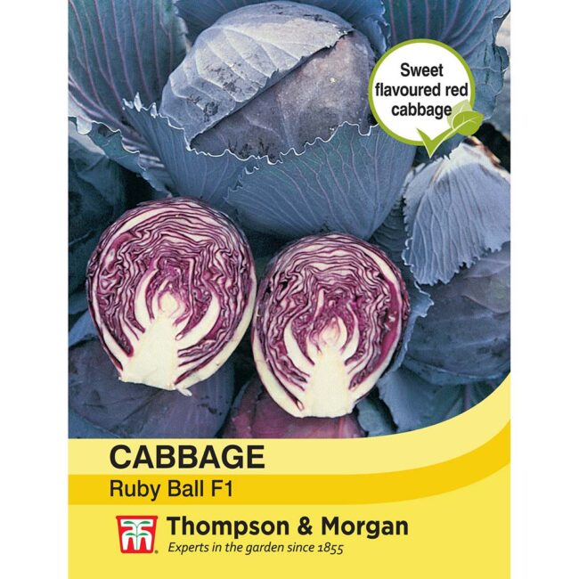 THOMPSON & MORGAN - CABBAGE RUBY BALL F1 HYBRID SEEDS