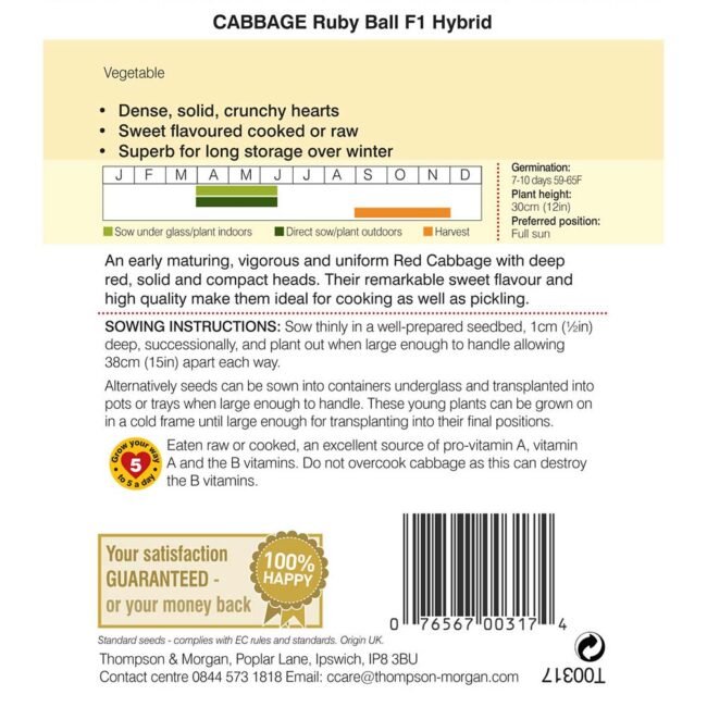 THOMPSON & MORGAN - CABBAGE RUBY BALL F1 HYBRID SEEDS - Image 2
