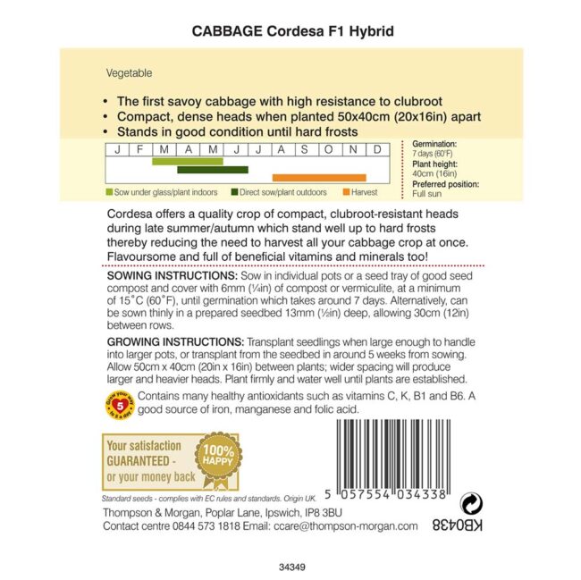 THOMPSON & MORGAN - CABBAGE SAVOY CORDESA F1 HYBRID SEEDS - Image 2