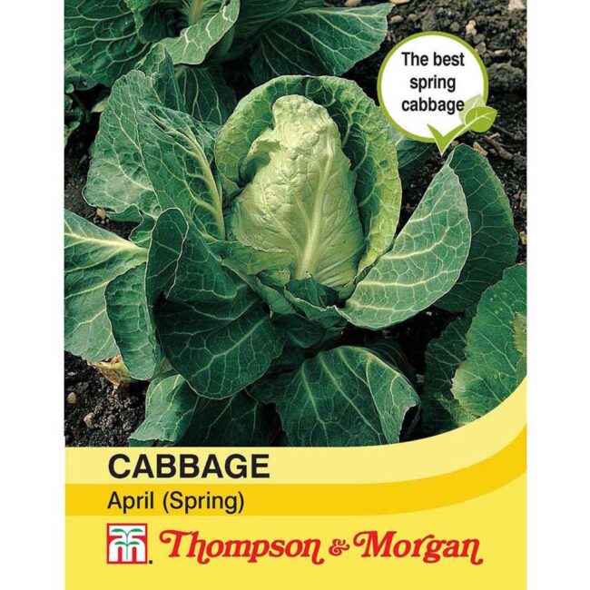 THOMPSON & MORGAN - CABBAGE (SPRING) APRIL SEEDS