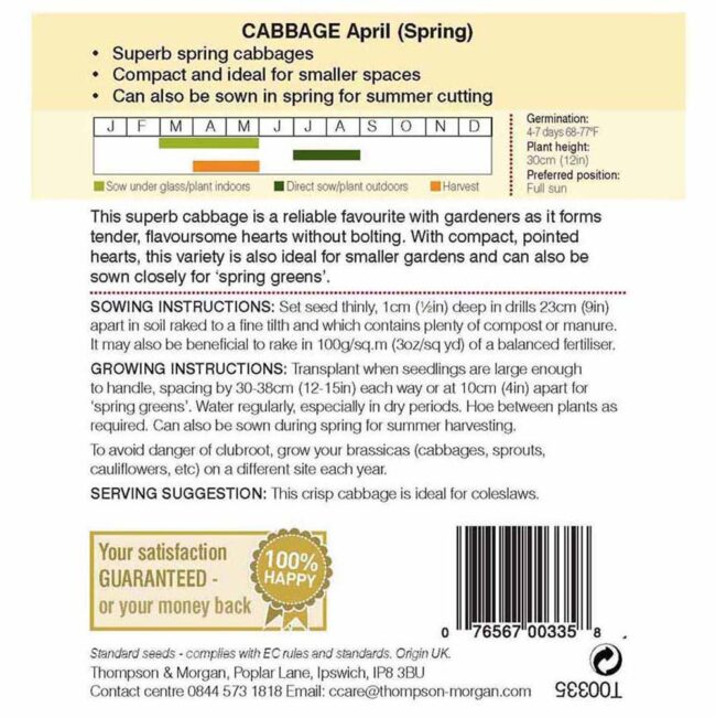 THOMPSON & MORGAN - CABBAGE (SPRING) APRIL SEEDS - Image 2