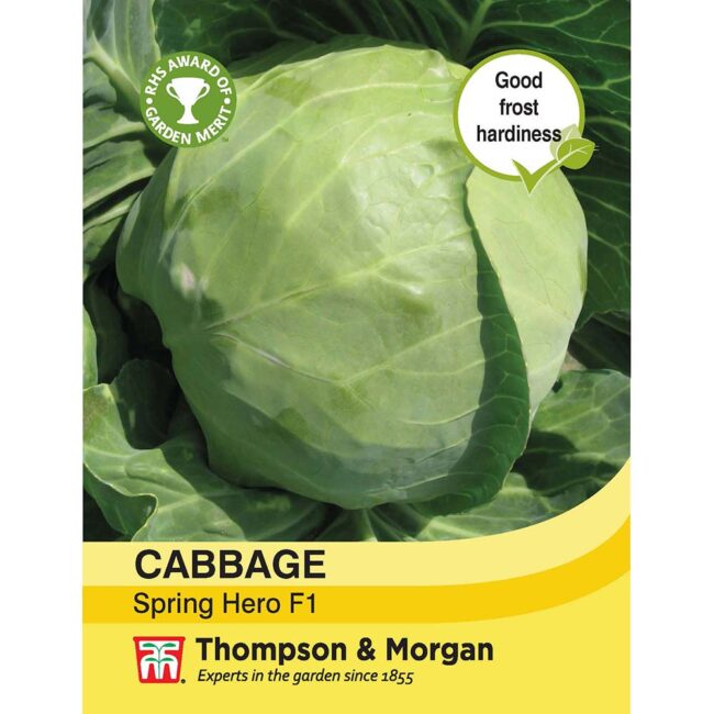 THOMPSON & MORGAN - CABBAGE SPRING HERO F1 HYBRID SEEDS