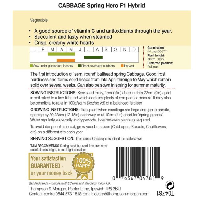 THOMPSON & MORGAN - CABBAGE SPRING HERO F1 HYBRID SEEDS - Image 2