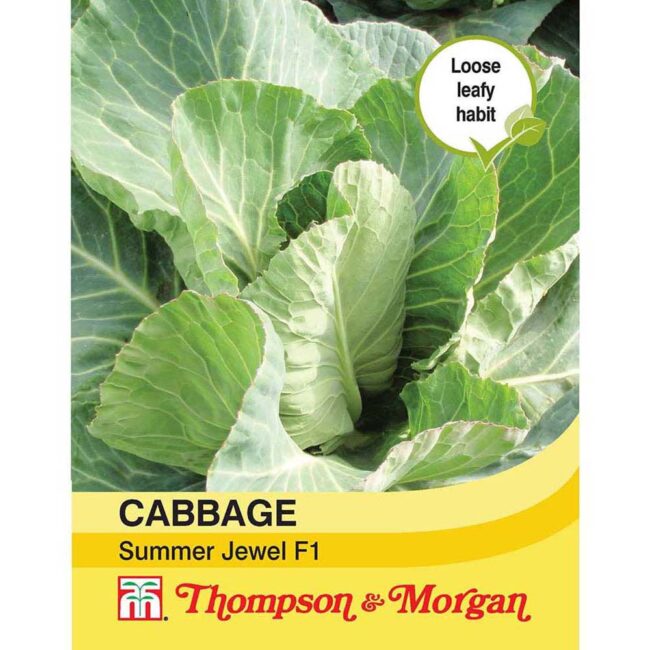 THOMPSON & MORGAN - CABBAGE SUMMER JEWEL F1 HYBRID SEEDS