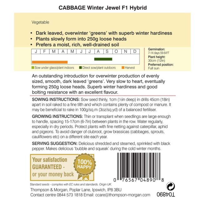 THOMPSON & MORGAN - CABBAGE WINTER JEWEL F1 HYBRID SEEDS - Image 2