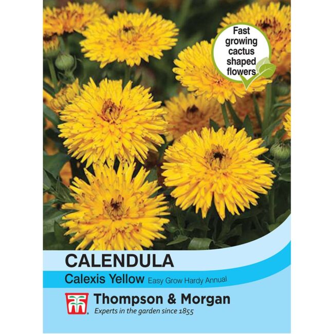 THOMPSON & MORGAN - CALENDULA CALEXIS YELLOW