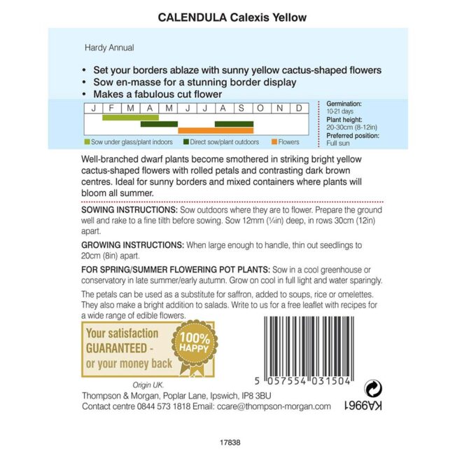 THOMPSON & MORGAN - CALENDULA CALEXIS YELLOW - Image 2