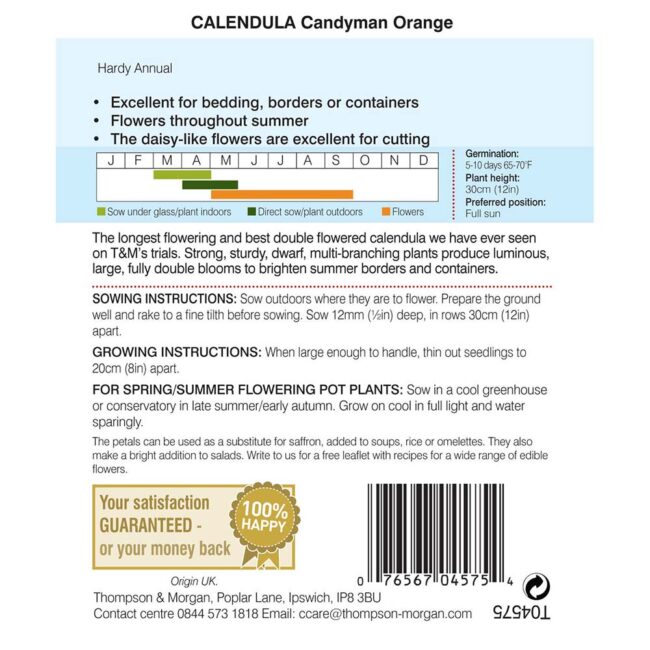 THOMPSON & MORGAN - CALENDULA CANDYMAN ORANGE SEEDS - Image 2