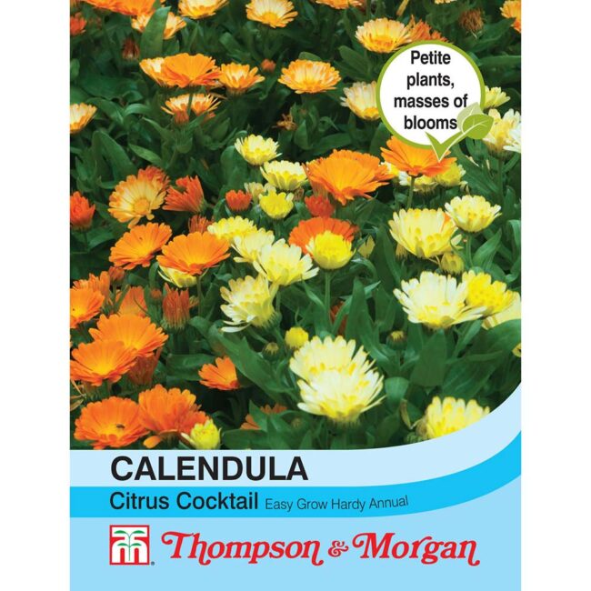 THOMPSON & MORGAN - CALENDULA CITRUS COCKTAIL SEEDS