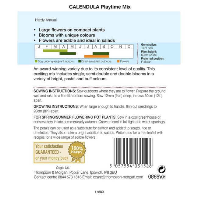 THOMPSON & MORGAN - CALENDULA PLAYTIME MIX - Image 2