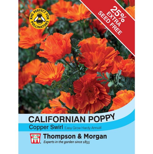 THOMPSON & MORGAN - CALIFORNIAN POPPY COPPER SWIRL SEEDS