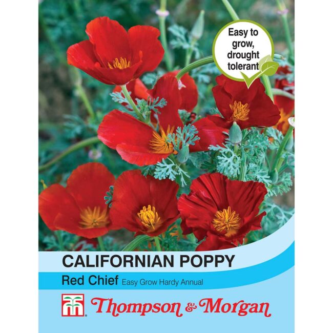 THOMPSON & MORGAN - CALIFORNIAN POPPY RED CHIEF SEEDS