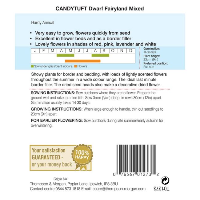 THOMPSON & MORGAN - CANDYTUFT DWARF FAIRY MIXED SEEDS - Image 2