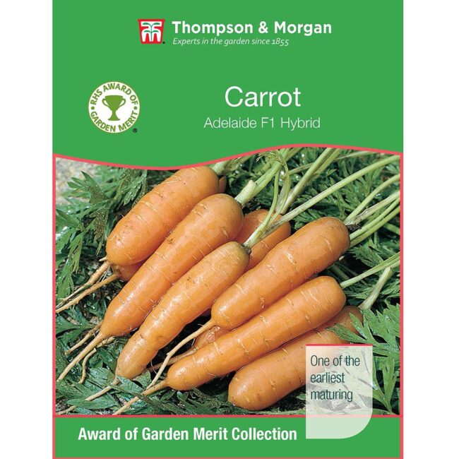 THOMPSON & MORGAN - CARROT ADELAIDE F1 HYBRID