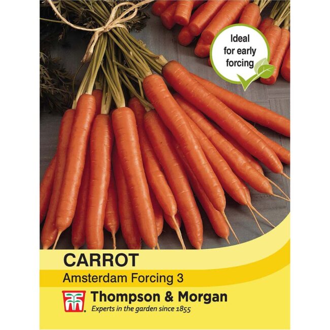 THOMPSON & MORGAN - CARROT AMSTERDAM FORCING 3 SEEDS