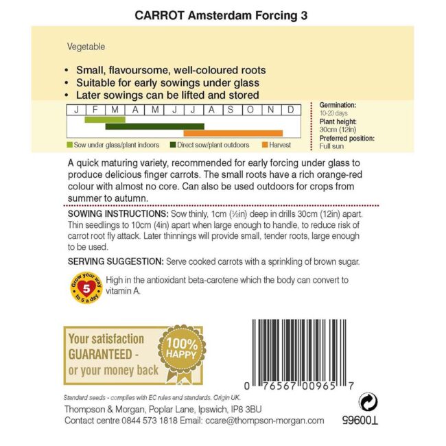 THOMPSON & MORGAN - CARROT AMSTERDAM FORCING 3 SEEDS - Image 2