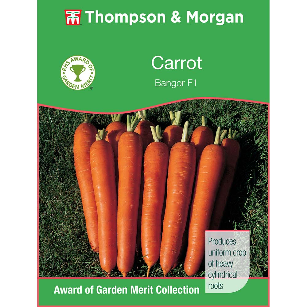 THOMPSON & MORGAN - CARROT BANGOR