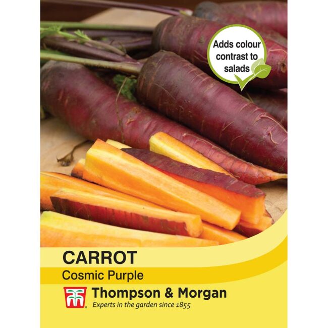 THOMPSON & MORGAN - CARROT COSMIC PURPLE