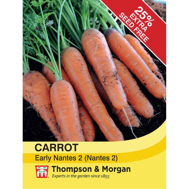 THOMPSON & MORGAN - CARROT EARLY NANTES 2 (NANTES 2) SEEDS