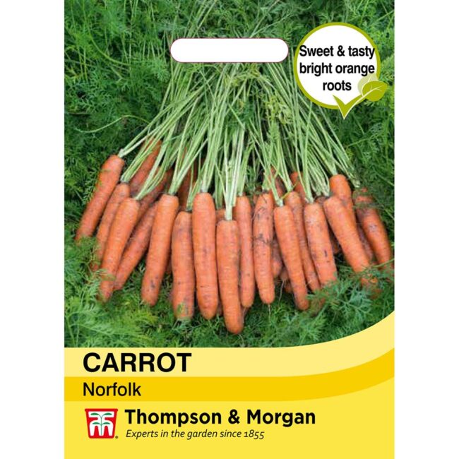 THOMPSON & MORGAN - CARROT NORFOLK SEEDS