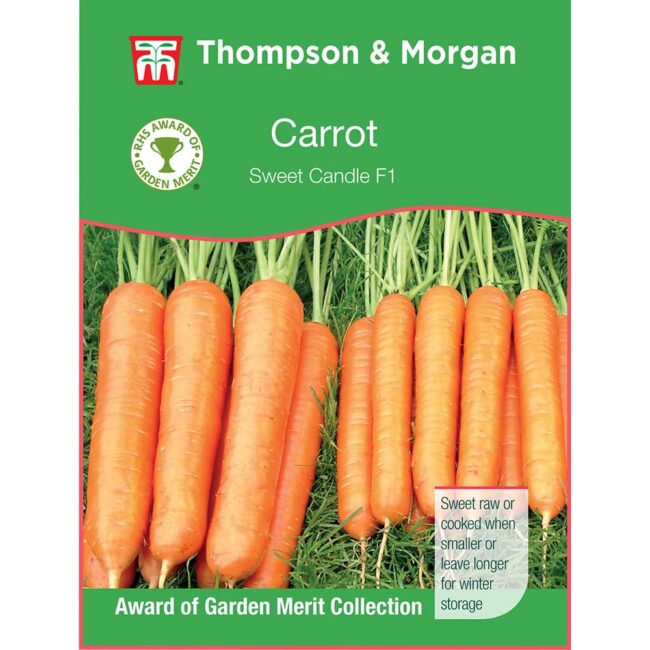 THOMPSON & MORGAN - CARROT SWEET CANDLE F1 HYBRID