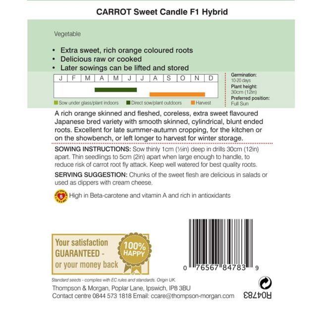 THOMPSON & MORGAN - CARROT SWEET CANDLE F1 HYBRID - Image 2