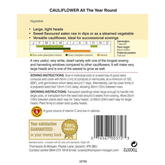 THOMPSON & MORGAN - CAULIFLOWER ALL THE YEAR ROUND SEEDS - Image 2