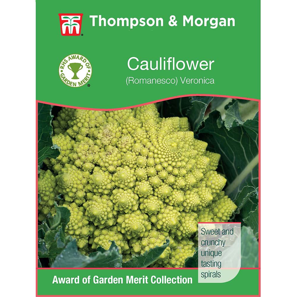 THOMPSON & MORGAN - CAULIFLOWER ROMANESCO VERONICA F1