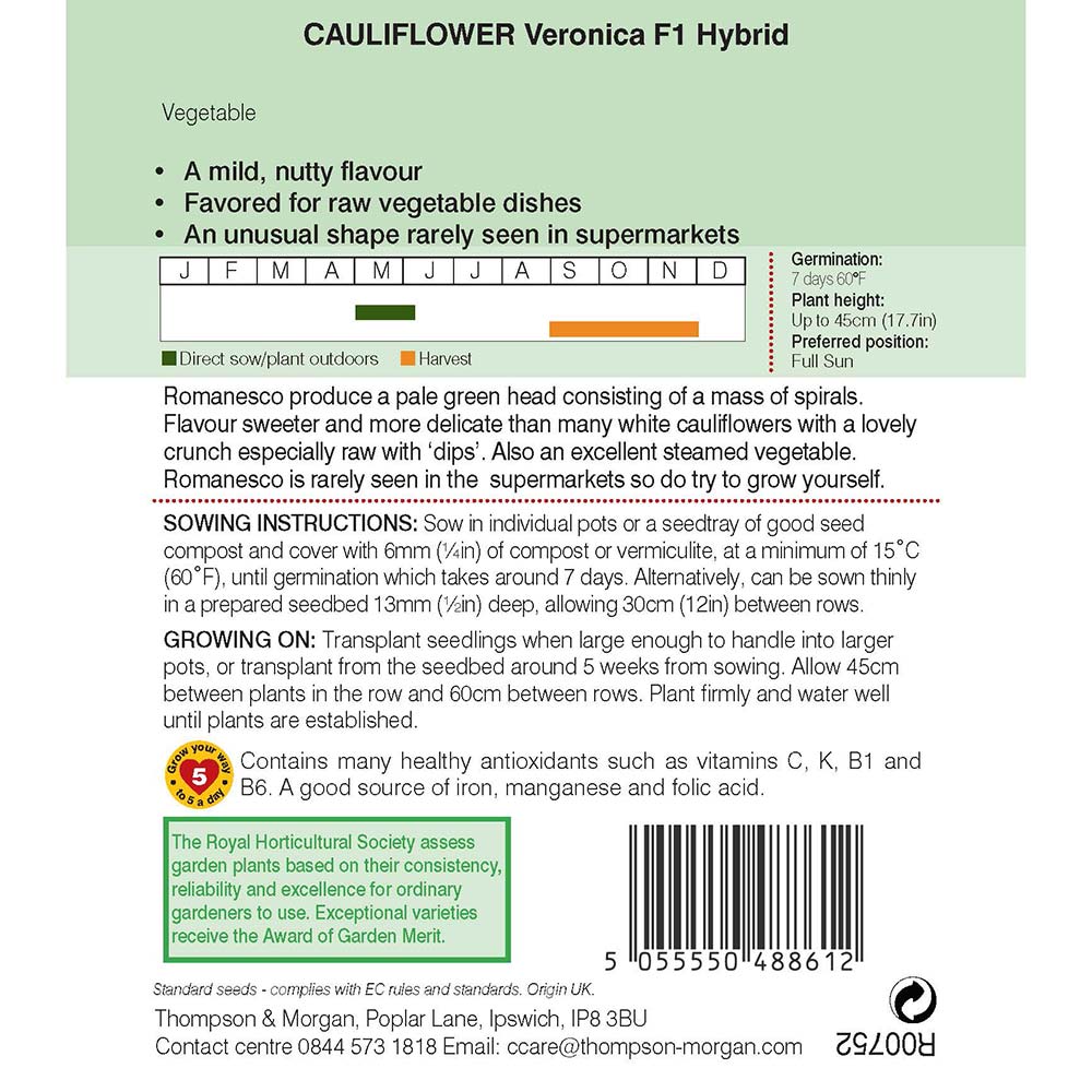 THOMPSON & MORGAN - CAULIFLOWER ROMANESCO VERONICA F1 - Image 2
