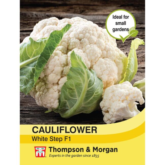 THOMPSON & MORGAN - CAULIFLOWER WHITE STEP F1 HYBRID SEEDS