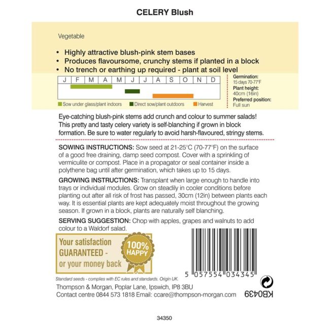 THOMPSON & MORGAN - CELERY SELF BLANCHING BLUSH - Image 2