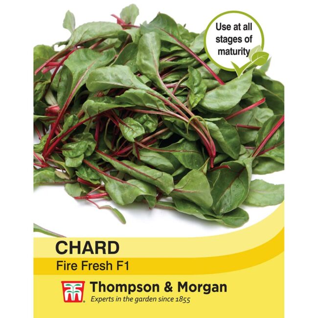 THOMPSON & MORGAN - CHARD FIRE FRESH