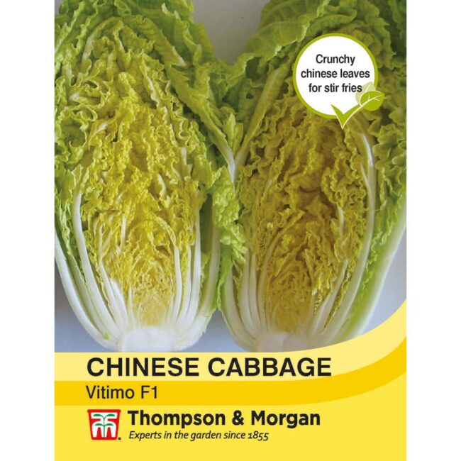 THOMPSON & MORGAN - CHINESE CABBAGE VITIMO